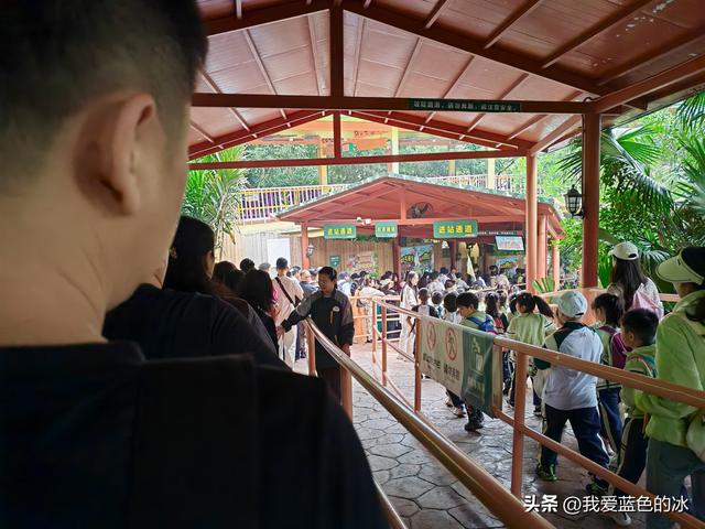 参观广州长隆野生动物园，全程感觉眼累手累腿不累