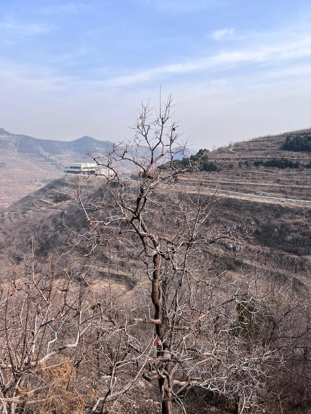大雪节气没有雪,这天去了山东临朐县一个山村。