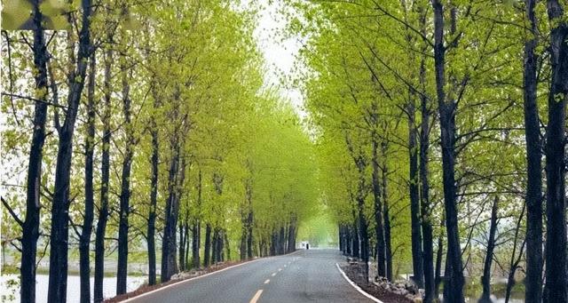 九江这几个有山有水的村子，氛围感拉满！