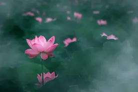 不做夫妻，我也会一生爱你；不能相守，就在梦里和你相依图片