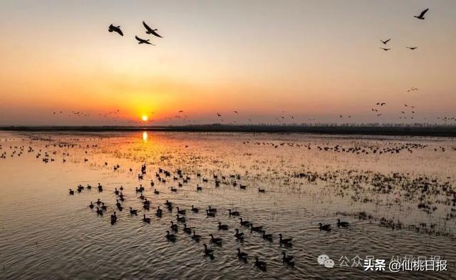 @仙桃人，这回大家真的要关注呀！