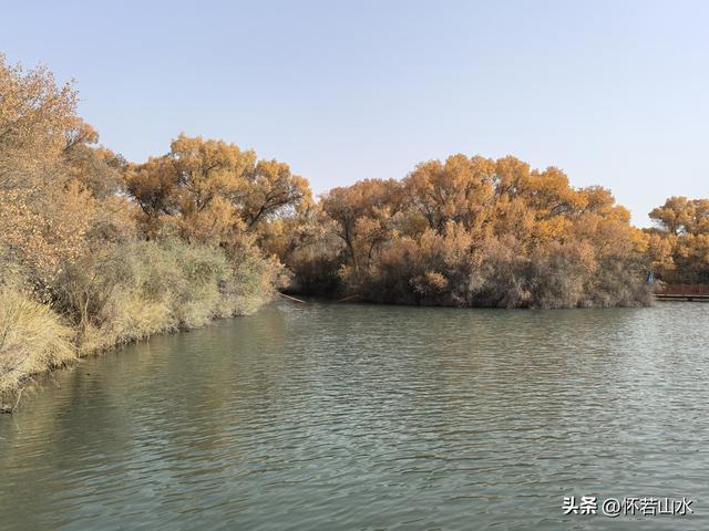 2025环南疆沙漠铁路背包自由行日记(4)——游览泽普金湖杨景区