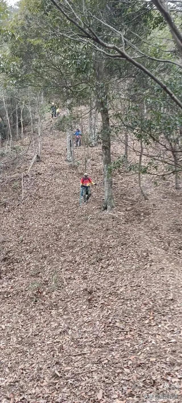 五次试走，终于揭开楠溪江源头永仙边界这条防火道的神秘面纱！