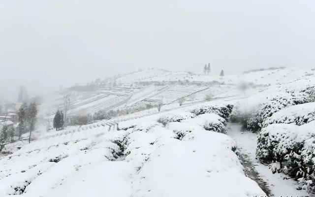 “最怕小雪是晴天”，今日小雪，小雪晴有啥预兆？