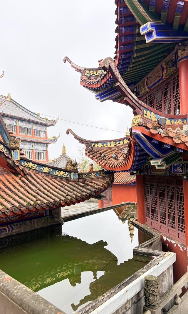 我是北京人，在宜宾待了五天，憋不住说说这4个直观感受。