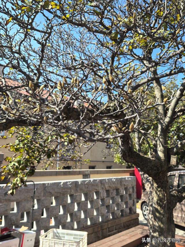 探访陈宝仓烈士故居，没想到遇见传说中的红桃K~