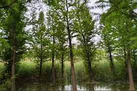 当孩子说“太累了不想去学校”，我这样回应孩子后，开心返校了图片