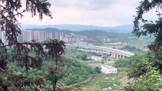 重庆荒效野岭发现大量石碑，碑身高大雕工精美，每块都有百年历史