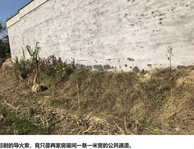 父母妻儿五人被害	，男子再发声：10岁儿子本躲过一劫外出求助被杀，案发当天自己被凶手儿子拉黑