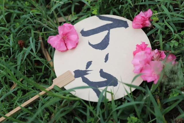 秋意浓，花开正艳！这周末，来东莞万江赏花秋游吧！