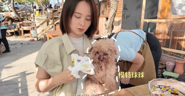女星邓莎离家2个月花园荒废，独带3条狗游玩！与富商老公感情危机