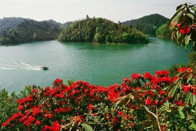 乡游黔中 · 长顺县 付家院村丨金菊翻浪映秋色,品味沉淀的时光