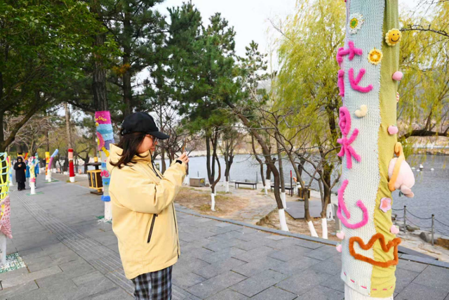 连云港：花果山大树集体穿上了“猴哥牌”毛衣