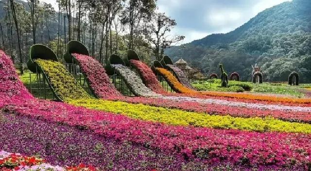 今年春节，广西凭什么火遍全国？答案太上头
