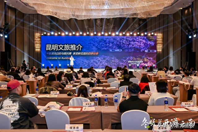 【知音湖北】“冬暖花开游云南”2025冬季文旅推广活动走进武汉 共绘跨区域合作新图景