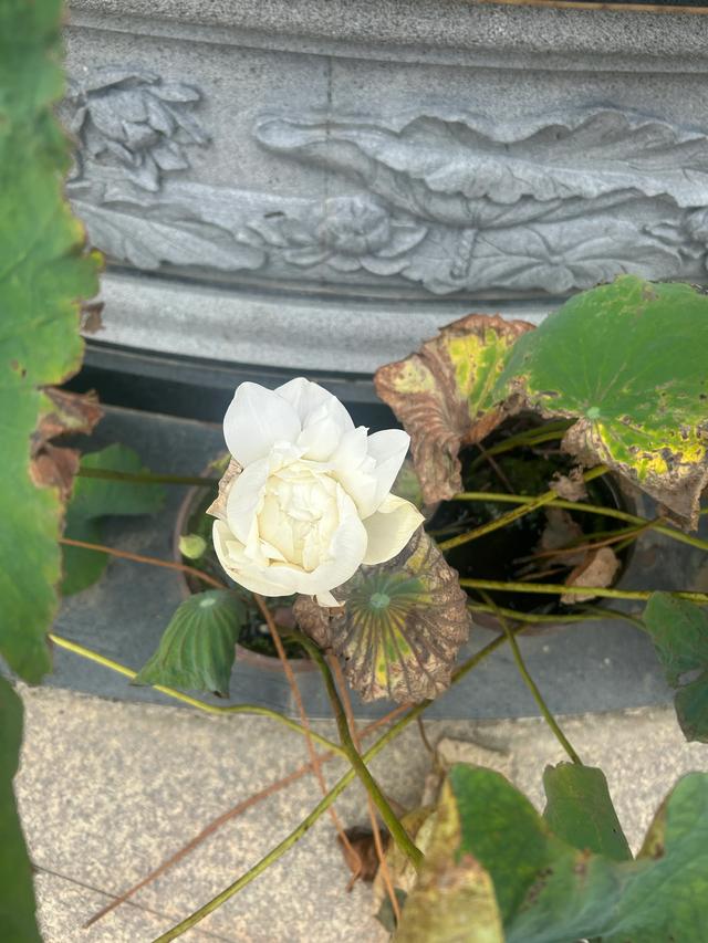 长乐沙京龙泉禅寺