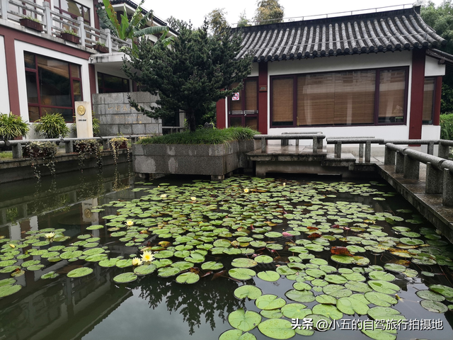 徽州古城2025终极攻略曝光！鱼灯展+非遗狂欢+暗黑美食