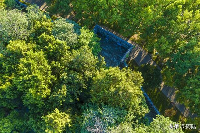 荆州的西门静悄悄，大树掩映着古城墙，郁郁葱葱更显冷清