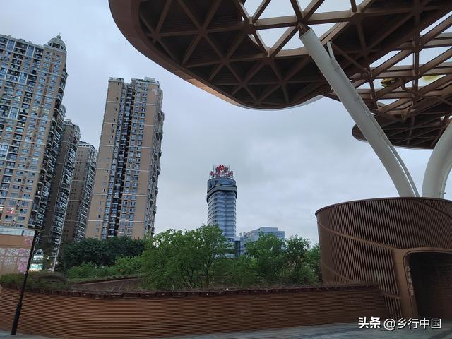 打卡北湖公园：读懂南充的文化密码与生活温度/乡行中国走进南充