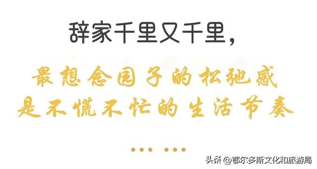 辞家千里又千里，我最想念鄂尔多斯文化产业园的——
