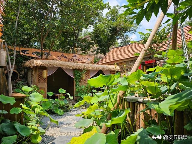 周末必冲！潍坊“齐鲁天路”安丘段“宝藏民宿地图”，快来山里躺平吧！