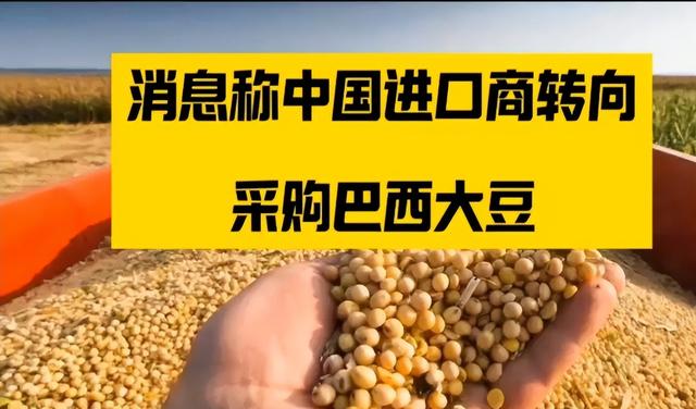 贪心砸了饭碗？巴西硬抬价，中国 130 万吨大豆订单瞬间流向阿根廷