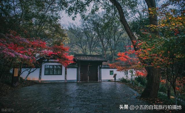 南京栖霞山赏枫实测攻略！四大赏枫地之首，免费入园 + 路线 + 出片