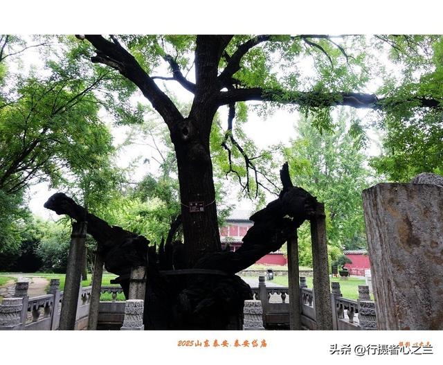 山东行游影记（314）—泰安岱庙（十）