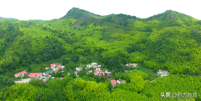六盘水有一个景区就这样荒废了，坐拥3万亩竹海，堪称避暑胜地