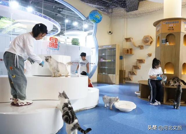 邂逅浪漫美景、见证心动时光……邢台甜蜜时光主题线路，点燃假日消费热情