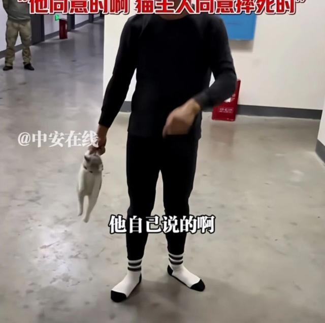 查寝摔猫致死宿管抱怨“被网暴”：“谁养的都不敢承认，怪得了谁”