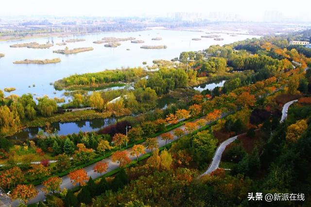 立冬已至，潍坊的秋意仍浓，这里的风景绝美