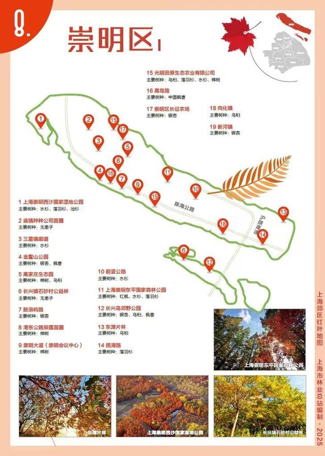 解锁2025上海郊区红叶地图，一起走进申城的五彩世界！