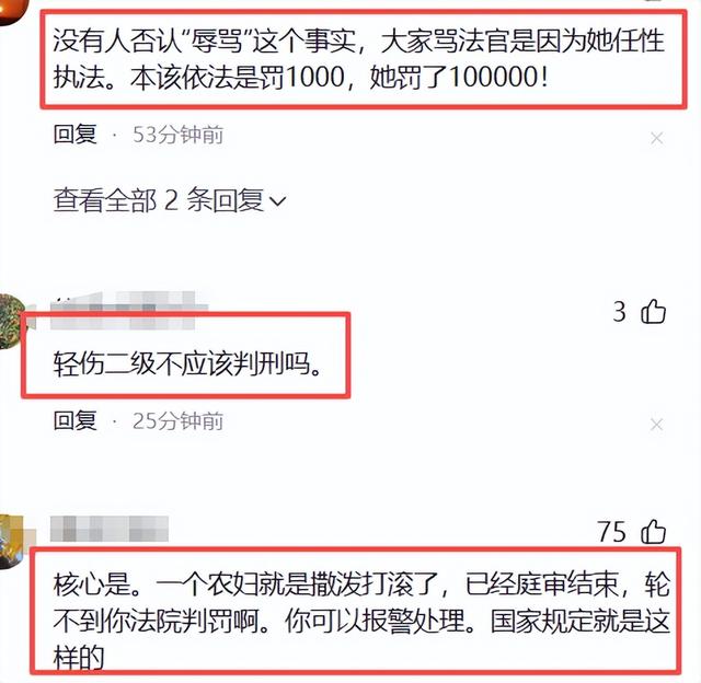 反转？辱骂法官事件后续：监控曝光细节，农妇处罚撤销，法官委屈