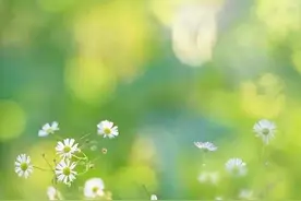 堪称人间清醒的4大星座女，头脑聪明，逻辑缜密，绝不会为情所困图片