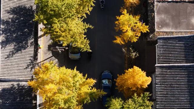 天气很冷,大理很“热”