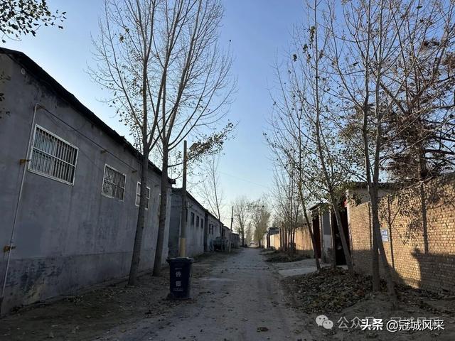 冠县乡韵·贾镇荆楼村