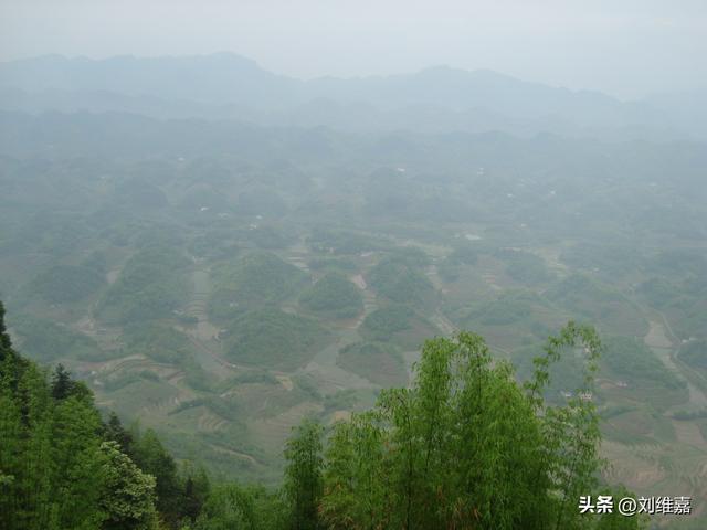 畅游蜀南竹海