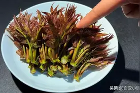香椿焯水就是大错特错！教你正确做法，鲜嫩清香酥脆，营养又美味图片