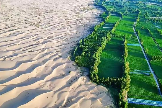 月薪8000留不住人，牧民靠万亩草场维生，新疆的上限下限超乎想象