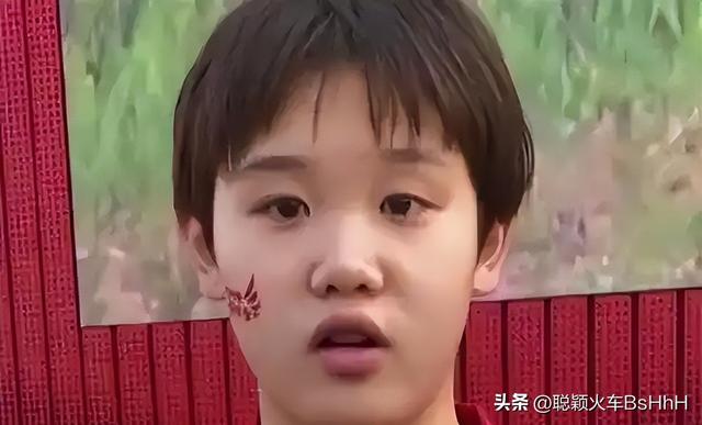 张家齐退役：鲜花着锦，烈火烹油，然后呢