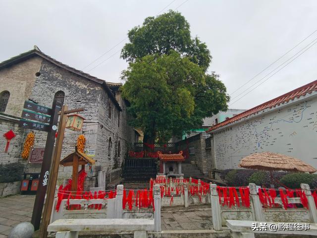 探寻龙眼山古寺遗址，一次最为艰难的野外探险之旅
