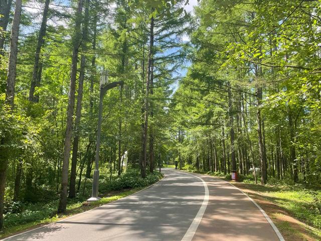 东北双年漫游手记