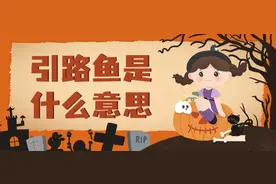 引路鱼是什么意思,我们为什么要小心引路鱼?图片