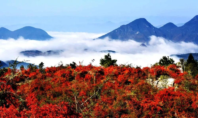 地名里的重庆 | 秀山县龙池镇，从“龙潭坝”传说到山水秘境