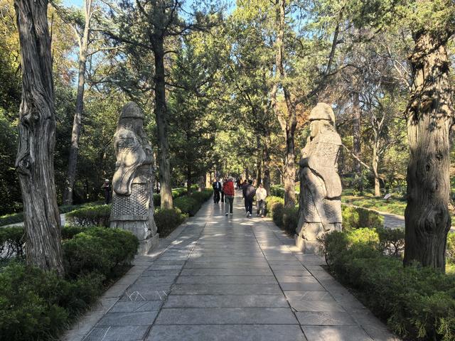 南京紫金山郊野徒步