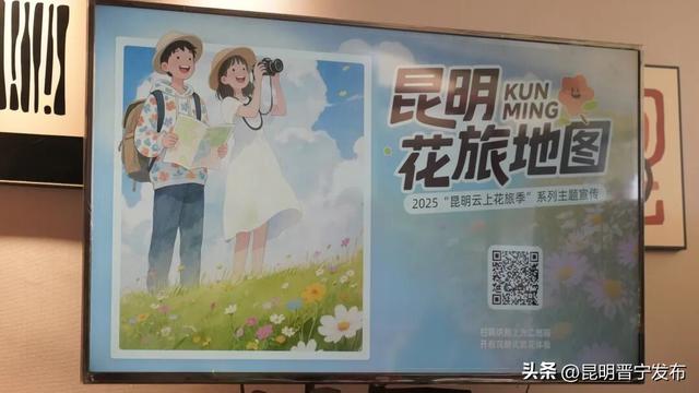 昆明云上花旅季：探访晋宁玫瑰的“云上蝶变”之路