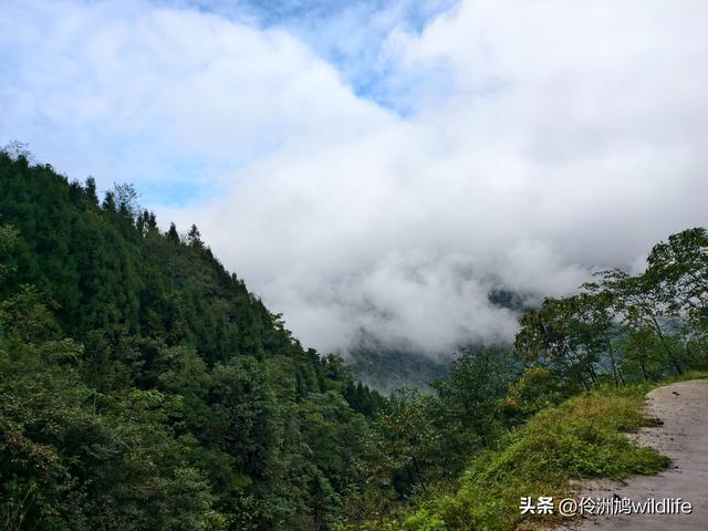 四川行(73)什邡红枫岭徒步到钟鼎寺