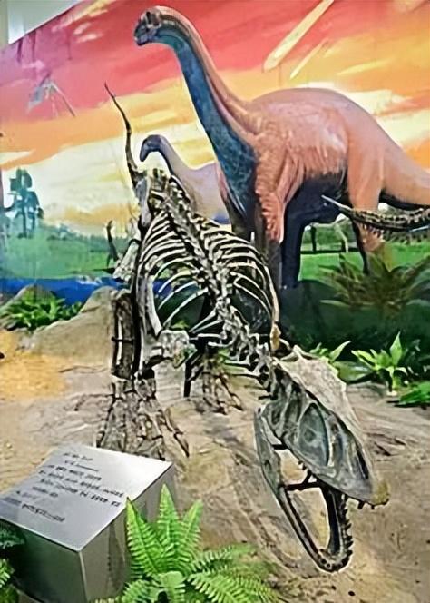 又踏甘肃地之七十三 白银篇之十三 白银市博物馆（2）