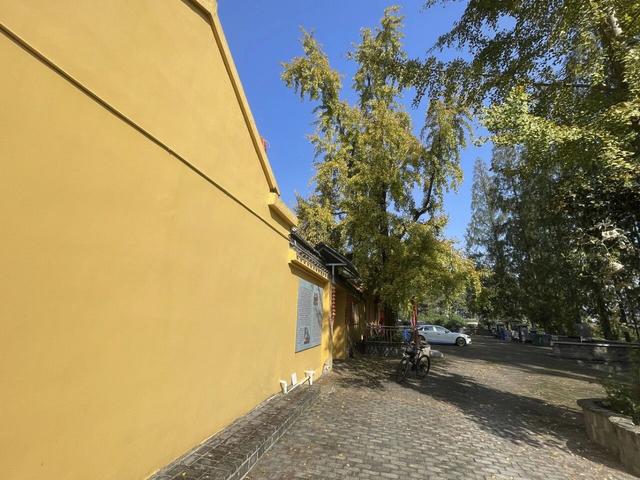 随性骑游六合随拍小景